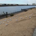 総合スポーツセンターの大規模改修…給排水工事入札不調で見積もり競争？