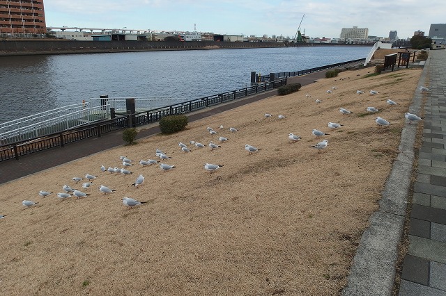 総合スポーツセンターの大規模改修…給排水工事入札不調で見積もり競争？