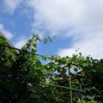 荒川区が高齢者世帯、障害者世帯などにエアコン等設置費の補助をはじめました