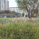 要支援の介護保険外しから４年、全国で介護サービス利用が９.７万人減…