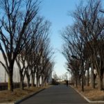 口腔崩壊の子どもが東京で３校に１校…学校をプラットホームにした子どもの貧困対策を