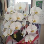 2019年区議選で日本共産党区議団は、区議会第２党、女性議員３人で男女同数の議員団へ